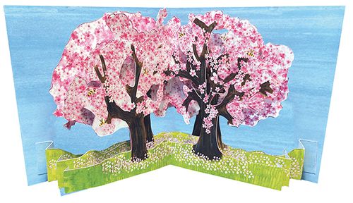 Trees: Cherry Blossom (Pop-Up Card)